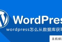 wordpress如何从数据库中获取数据(wordpress的数据库在哪里)-主机频道