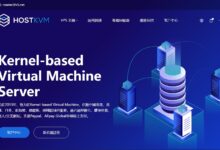 HostKvm香港国际线vps,1核/1G内存/10G硬盘/500G流量/50Mbps带宽,月付4.9美元。-主机频道