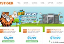 Hostiger黑五促销:土耳其伊斯坦布尔VPS，15美元/月/1核/1G内存/20G SSD/500G流量@300Mbps带宽-主机频道