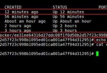 论码头工人群体的资源限制-主机频道