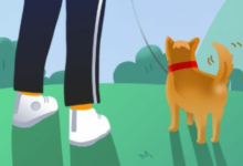 如何在世界上赚钱?如何在旅游世界app中赚钱-主机频道