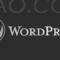 WordPress 禁止将英文半角符号转换成全角符号