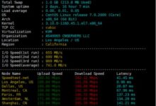 美国云服务器1核1G 200M带宽29元/月290元/年极速连接云-主机频道