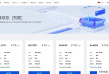 DigitalVirt日本软银VPS预售,800Mbps带宽,年月付16.9元起-主机频道