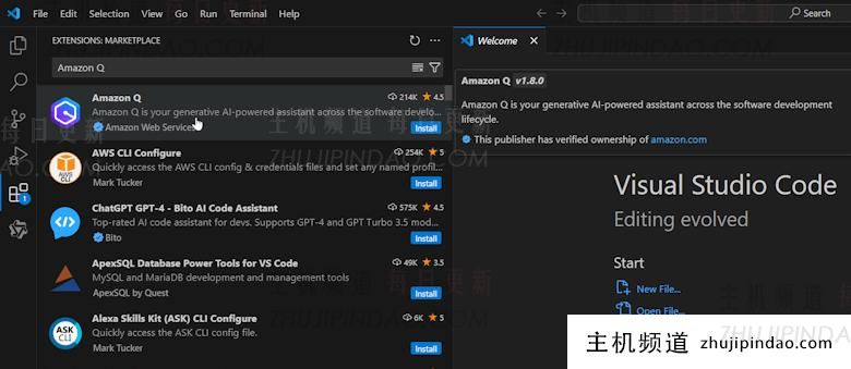 免费体验亚马逊云Amazon Q生成式AI服务 实现IDE编辑器自动化语言处理 - 第3张