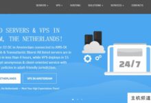 荷兰离岸VPS/独立服务器寻找vsys,无视版权投诉,提供最大20Gbps的带宽。-主机频道