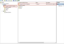 WindowsServer2019验证DHCP服务& DHCP数据的备份和恢复ⅲ-主机频道