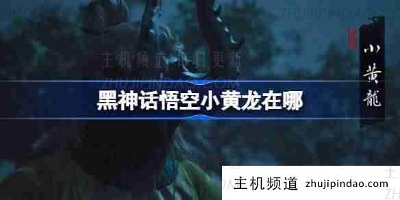 《黑神话悟空》小黄龙行动-主机频道