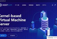 Hostkvm香港vps，5.9美元/月，支持Windows，2G内存/1核/40g SD/500g流量(香港大硬盘VPS)-主机频道