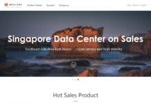 Megalayer以特价年费支付VPS,可选香港、菲律宾、美国、新加坡(原生IP)机房,年费199元-主机频道