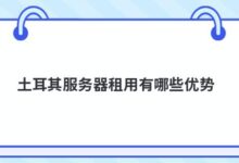 土耳其的服务器租赁有什么优势?-主机频道