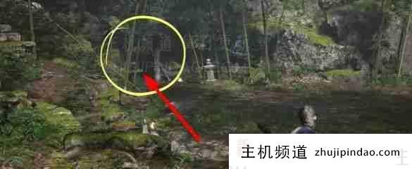 如何获得“黑神话悟空”罗家仙藤（黑神话悟空幼时死亡）-主机频道