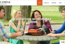 2022年9大最受欢迎的高级wordpress主题(中国最好的WordPress主题)-主机频道