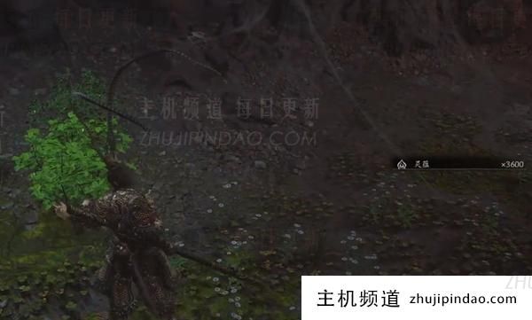 黑神话悟空凌云有什么作用? 黑神话悟空凌云有什么用?-主机频道