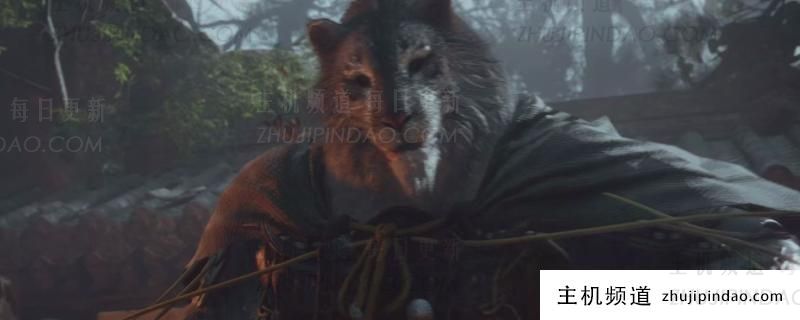 介绍如何向“黑神话悟空”添加宝藏槽(如何操作黑神话悟空)-主机频道