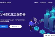 Onetechcloud香港VPS，1Gbps大带宽，8折优惠，1G内存/1核/20GSSD/600G流量-主机频道
