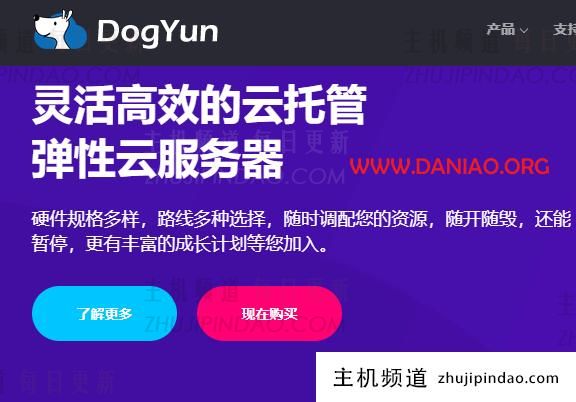 #5周年庆#狗云(dogyun)，弹性云7折/经典云8折，香港MG VPS特价版99元/年(原生IP/EPYC™处理器)-图片1