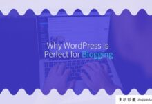 为什么wordpress非常适合写博客(WordPress的缺点)-主机频道