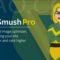 Wp-smush-pro-Wordpress图像压缩