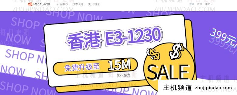 2个有特点的国外服务器租用网站推荐 - 第1张