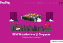 GigsGigsCloud新加坡云服务器上线,9.8美元/月起,可以看Nf,D+等。,适合联通移动。-主机频道