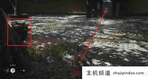 黑神话悟空美珠获取方法(黑神话悟空制作者)-主机频道