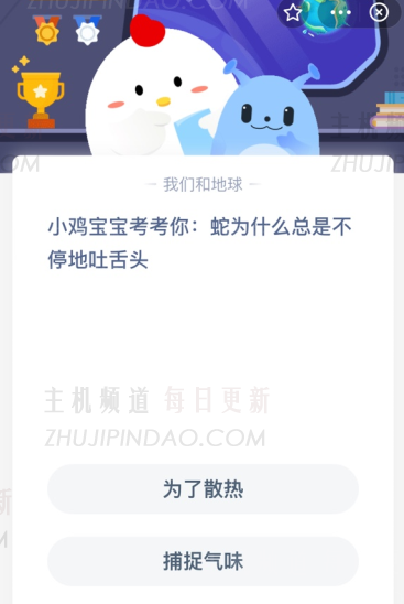 婴儿鸡测试您：为什么蛇会伸出舌头？   （为什么蛇经常伸出舌头？）