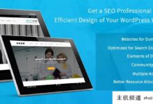 让SEO专家帮你高效设计WordPress网站(SEO网站优化设计)-主机频道
