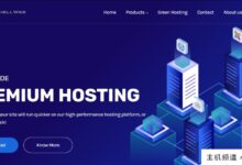 SoftShellWeb折扣代码:美国圣何塞1Gbps端口无限流量KVM VPS环路7折优惠低至3.5美元/月-主机频道