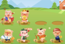 阳光养猪场的猪肉真的好吗？阳光养猪场怎么换猪肉？-主机频道