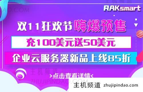 2022年国内外主机VPS服务器双十一活动大放送,第1张