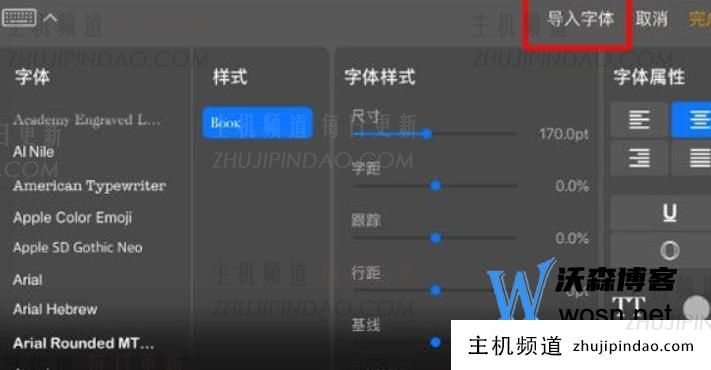 如何在Procreate 中导入字体，procreate字体导入详细教程