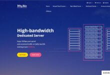 香港10g.biz server推广，香港20Mbps-100Mbps带宽/DDOS/ GIA+VIP线，77.4美元/月-主机频道