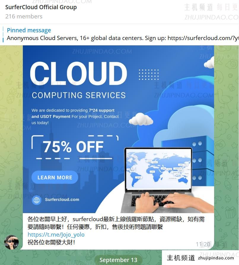 SurferCloud 俄罗斯 VPS 云服务器资源不足。请直接联系您的客户经理。