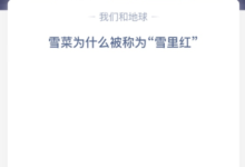 雪菜为什么叫“雪里红”?(雪菜是雪里红吗?)-主机频道