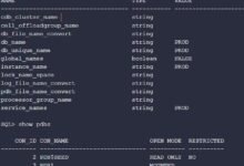 Zabbix6通过ODBC监控Oracle 19C的详细进程-主机频道