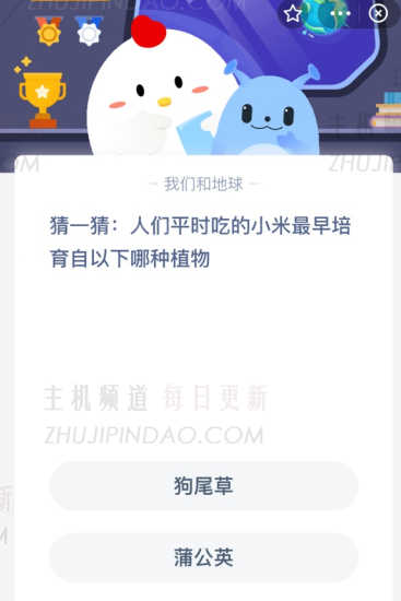 猜一猜:人们平时吃的小米最早是由下列哪种植物培育出来的?(猜测:人们平时吃的小米最早是从以下哪种植物中培育出来的)-主机频道