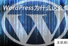 为什么wordpress这么慢(WordPress过时了吗)-主机频道