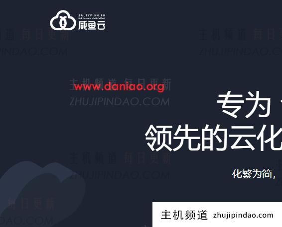 SaltyFish(咸鱼云)黑五 ，德国CN2 GIA VPS季付及以上85折，获赠额外30%流量