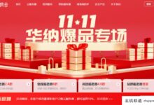 #11.11#华纳云爆特惠:海外云服务器10M CN2低至51元/月,物理服务器50M CN2仅需888元/月,高安全性服务器6折叠加防御!-主机频道