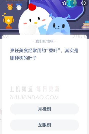 通常用来煮食物的叶子是什么？   （Bayleaf树的名字是什么？）