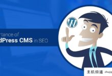 WordPress CMS在SEO中的重要性-主机频道