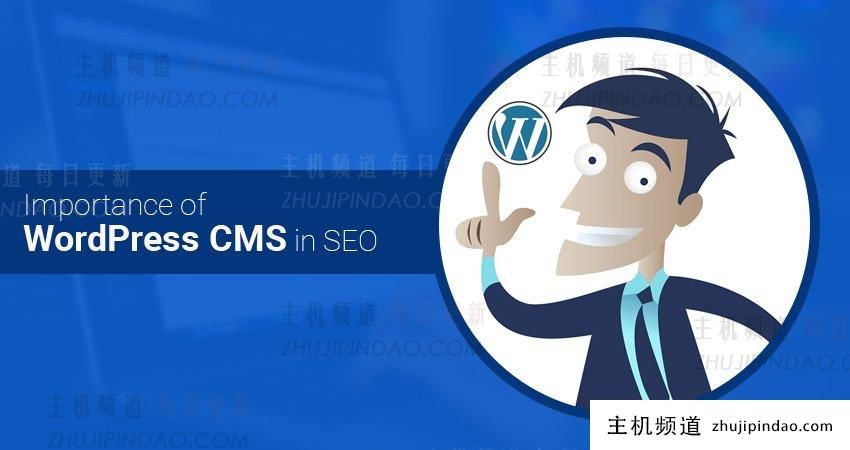 Wordpress Cms在seo中的重要性