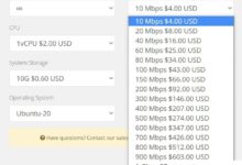 库车岛快车道日本BGP KVM VPS:6.6美元/月/1GB RAM /10GB SSD空间/1TB流量@10Gbps端口-主机频道