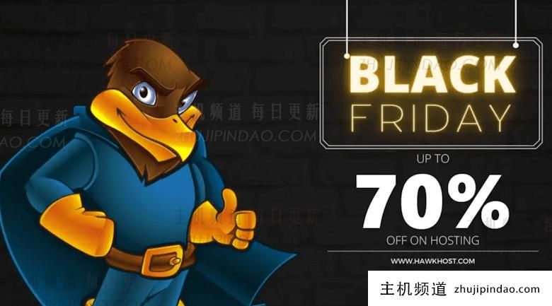 黑五2024 HawkHost 老鹰主机三折虚拟主机 年付70元 - 第1张