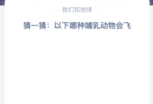 猜一猜:哪种哺乳动物会飞？(猜一猜:以下哪种哺乳动物会飞眼镜猴蝙蝠)-主机频道