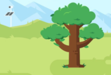 蚂蚁森林如何自定义弹幕,蚂蚁森林如何发送弹幕-主机频道