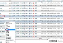 Wordpress彻底清理了旧主题和插件留下的wp_options数据表(WordPress主题无法干净删除)-主机频道