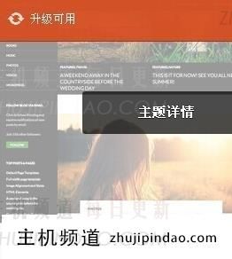 怎么删除wordpress主题