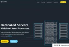离子:美国20Gbps大带宽VPS,100TB月流量,NVMe硬盘,25美元/年-主机频道